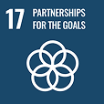 Impact Partnerships