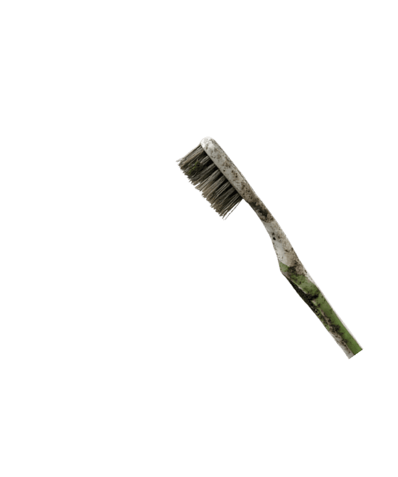 tooth brush